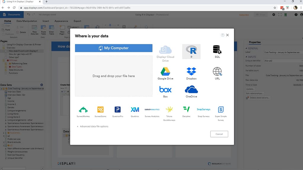 Screenshot of a user adding R data to Displayr