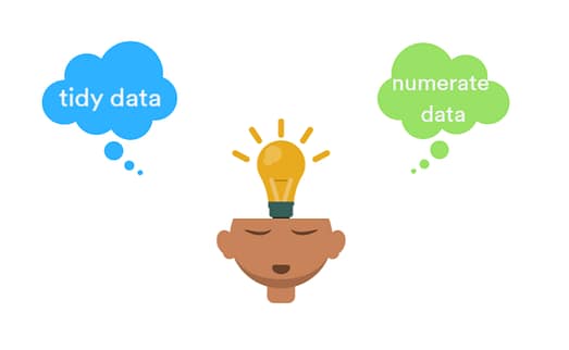 person thinking about tidy and numerate data