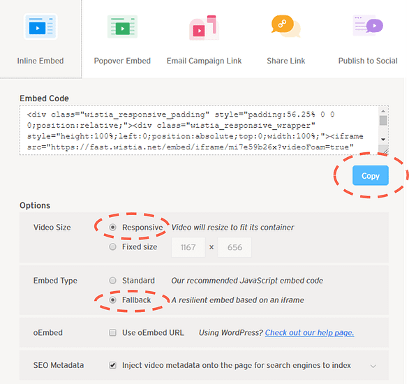 Setting responsive options Wistia
